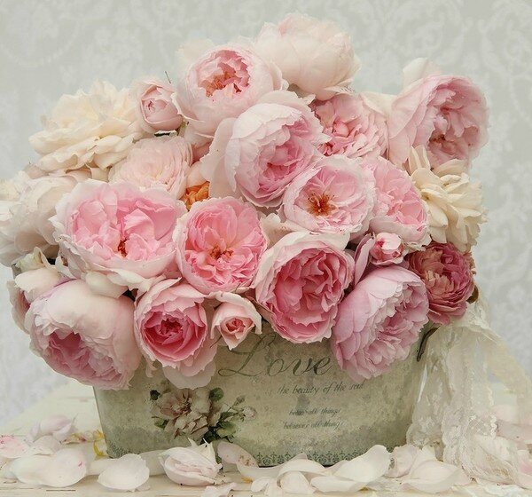 bouquet rose love