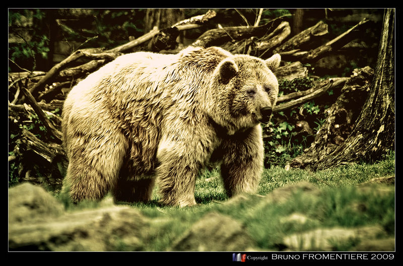 L_Ours