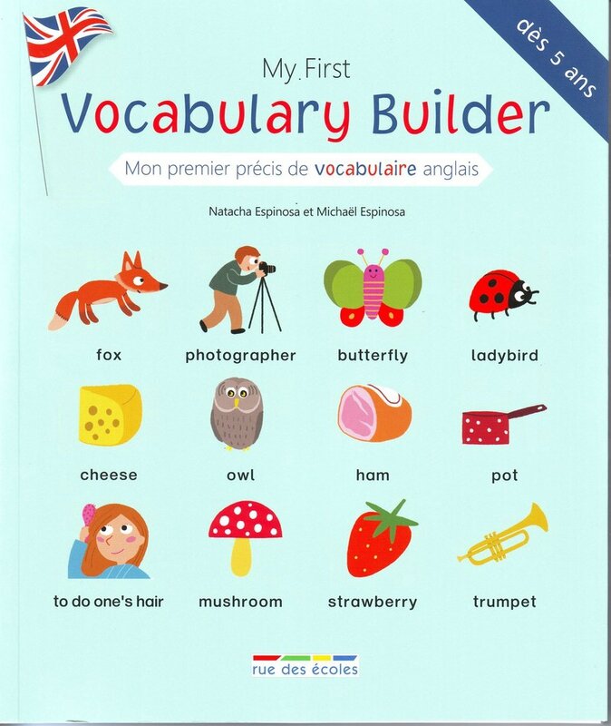Précis de Voca Couv eng (Copier)