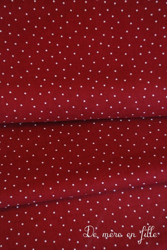 rouge pois blancs 2