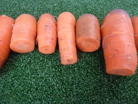8-carottes (1)