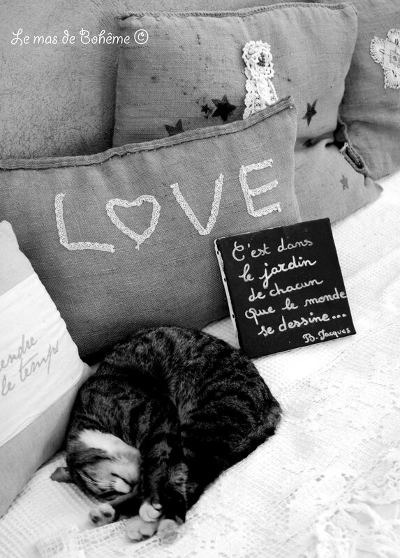 Mon chat sarrache des touffes de poils