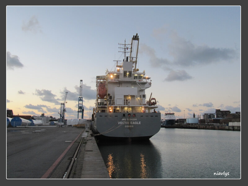 Forex cargo eagle rock ca