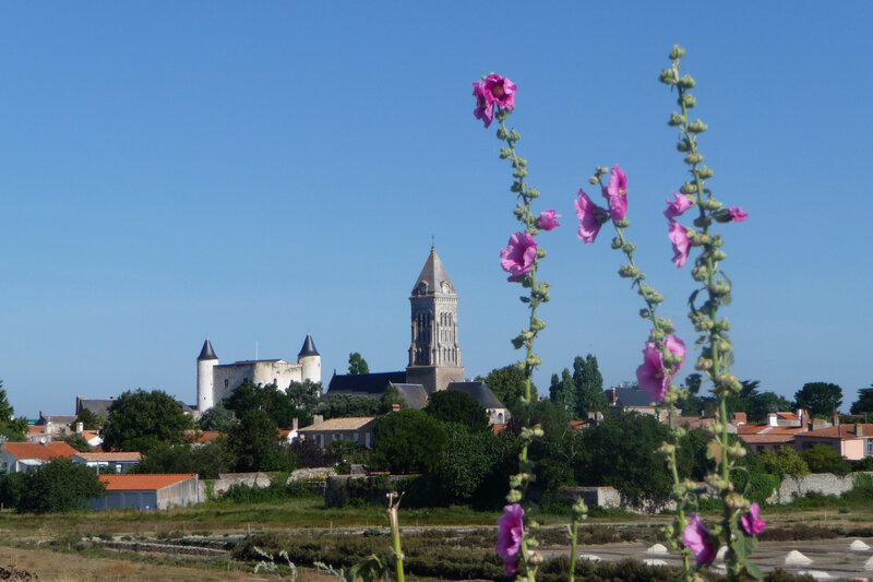 P1080546