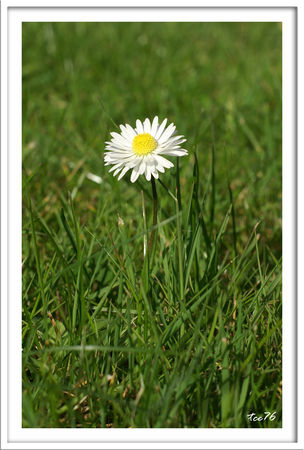 PICT9623_30