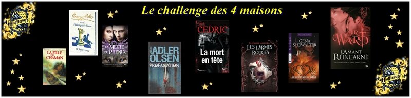 Challenge des 4 maison