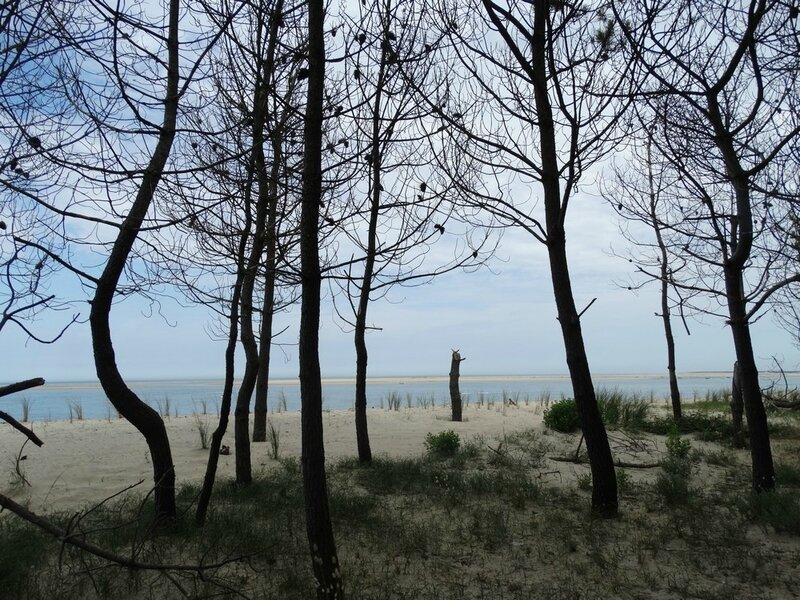 ob_2fe8cb_petitnice-2016-01