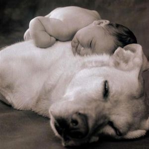 anne_geddes01_1_1_