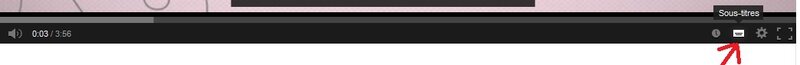 sous_titres