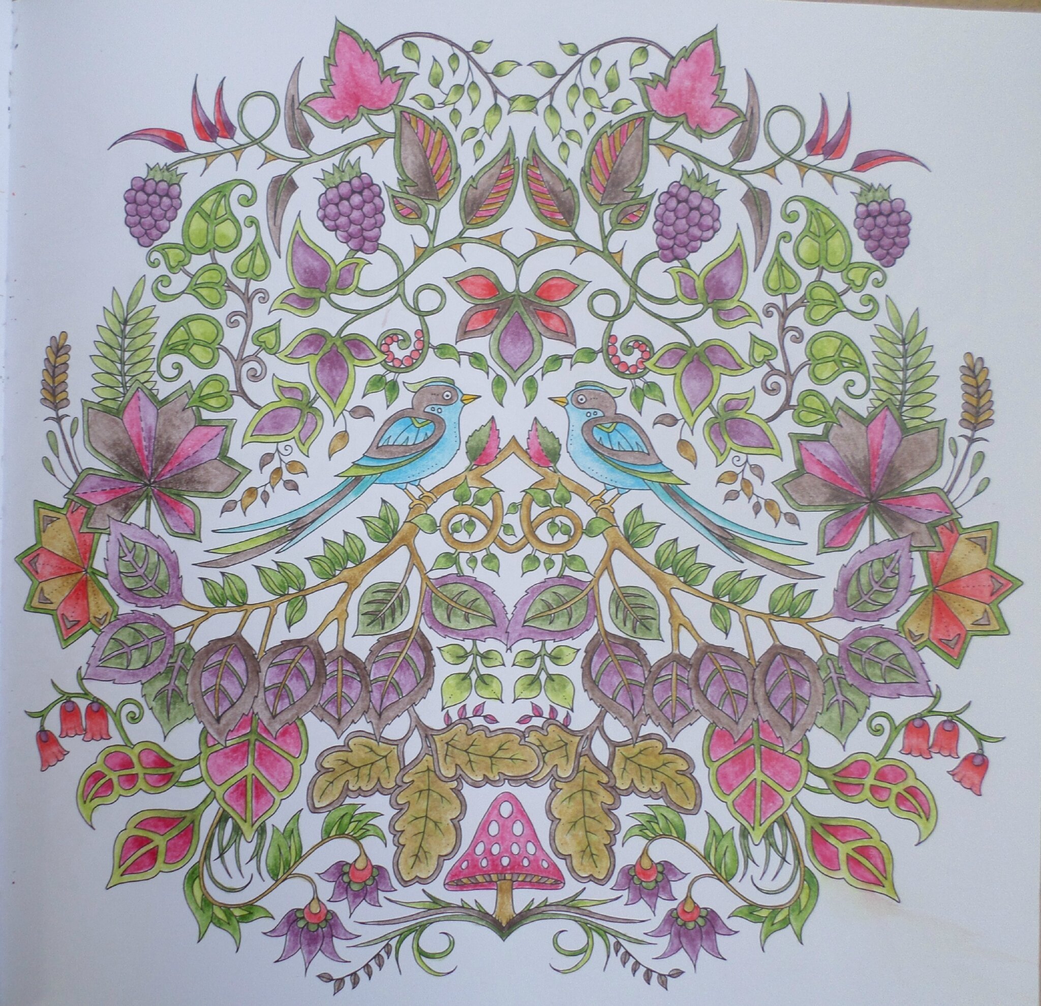 Livre De Coloriage Johanna Basford