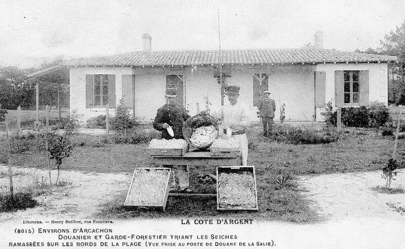 Pyla-Sur-Mer-Vialard_html_m41d96937