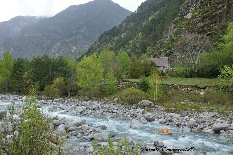 Rio arrasa