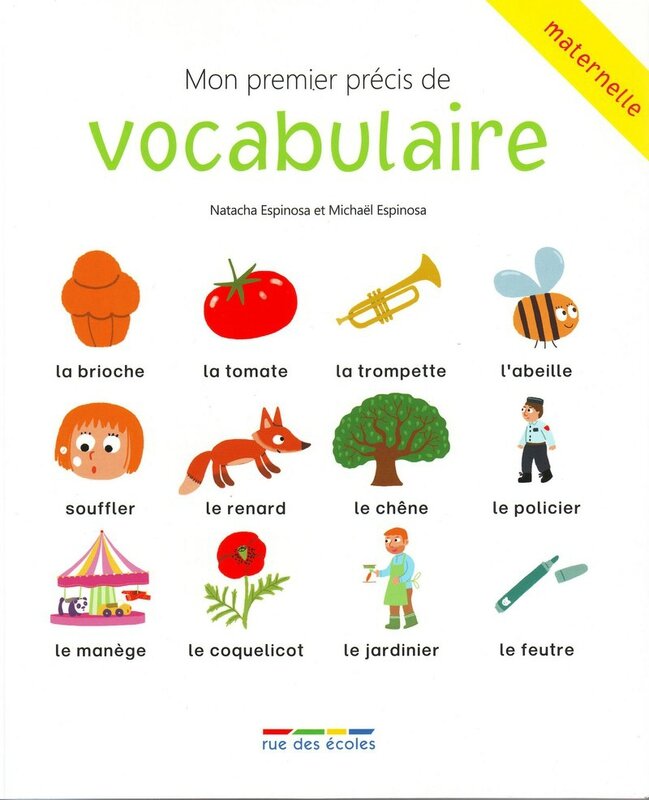 Précis de voca couv fr (Copier)