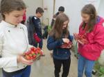 Coubert14juin (6)