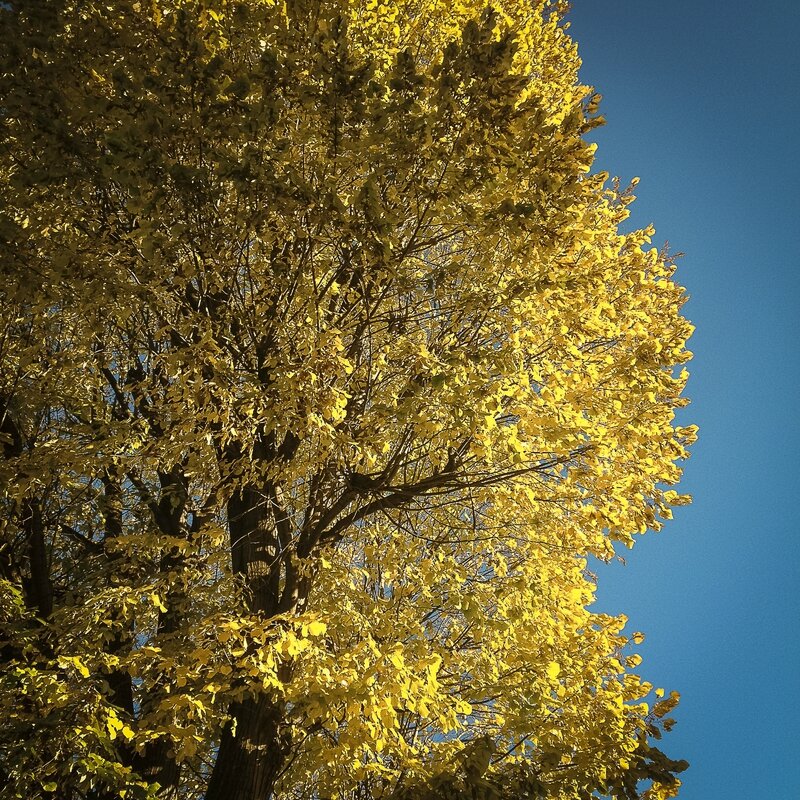 AqtvIMG_3963