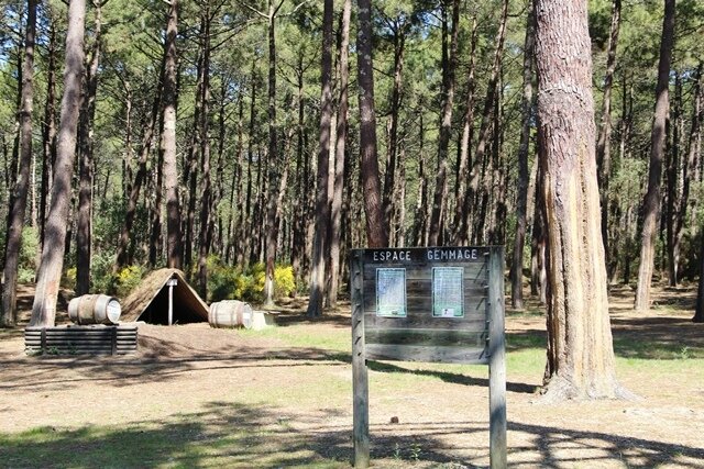 Espace-gemmage-Mimizan-2