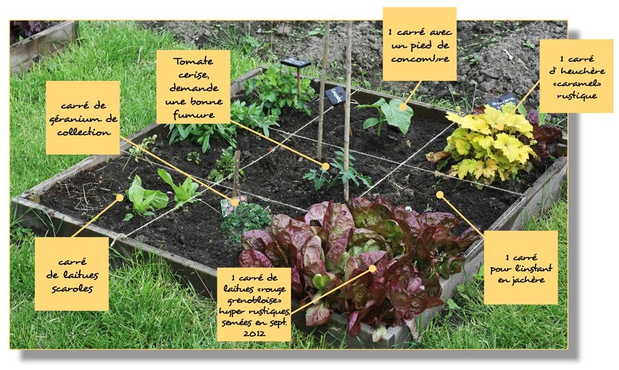 Quoi mettre dans un carre potager