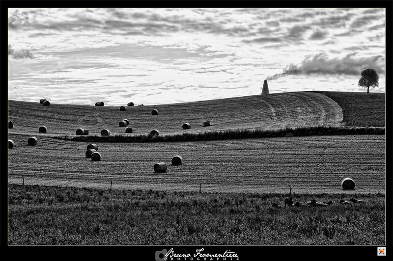 Paysage