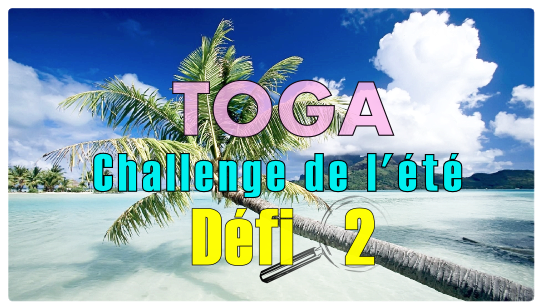 challenge de l'été 2015 TOGA D2FI 2