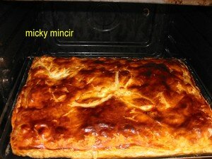 dartois_mickymincir