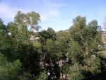 Vista_giardino_di_fronte