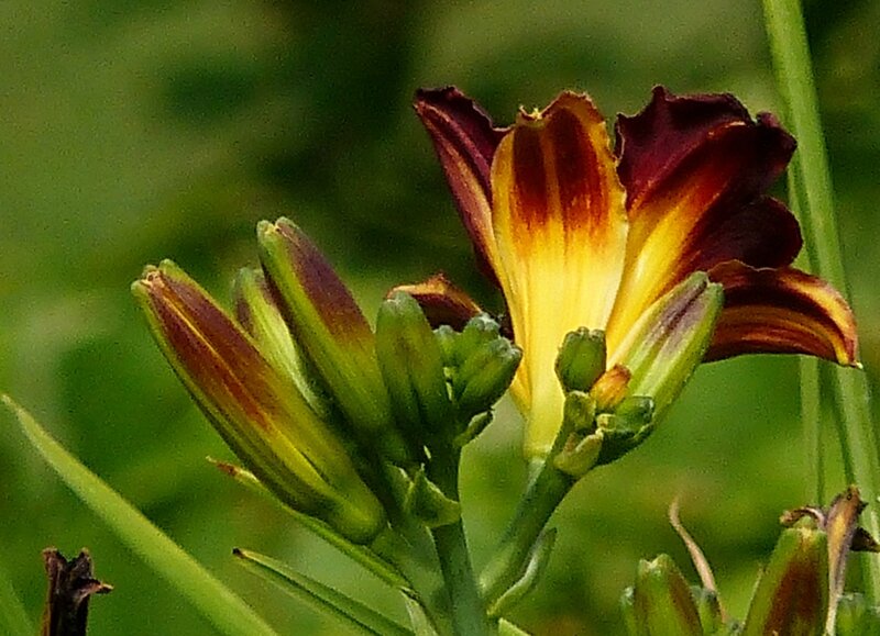 P1060072