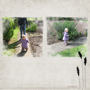 0408_JARDIN__2__copie