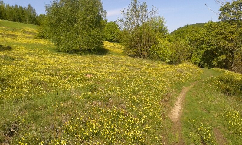 20150510_153958