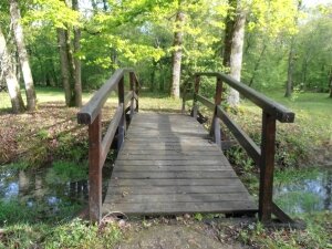 foret amboise (14)