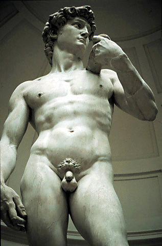 quoi faire si on rencontre une moufette