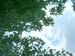 mails_et_r_ponses