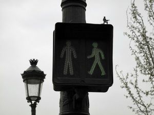 IMG_1153d