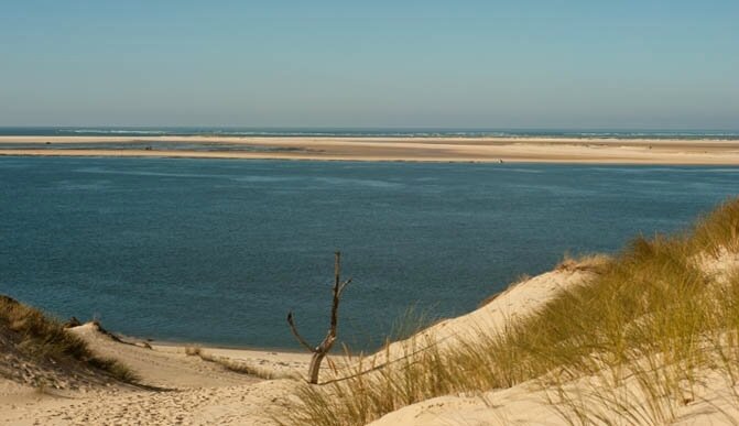 Photo-banc-darguin-bassin-arcachon