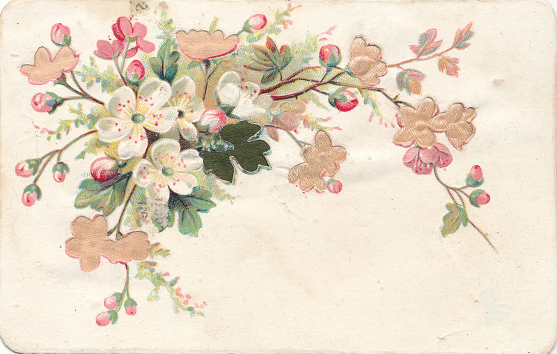 Fleurs chromos série 1 vintage
