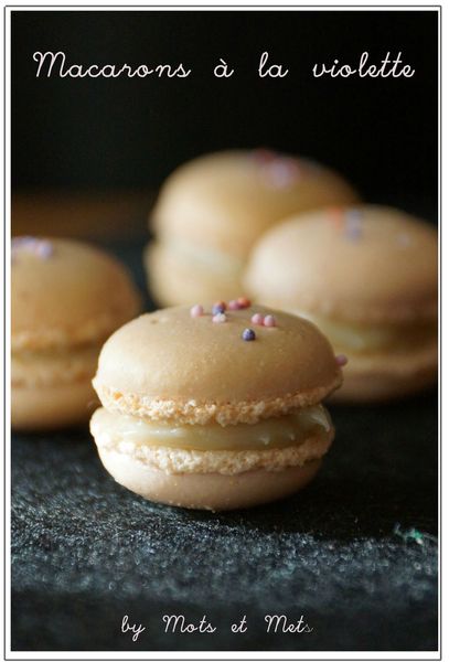 macarons violette 1