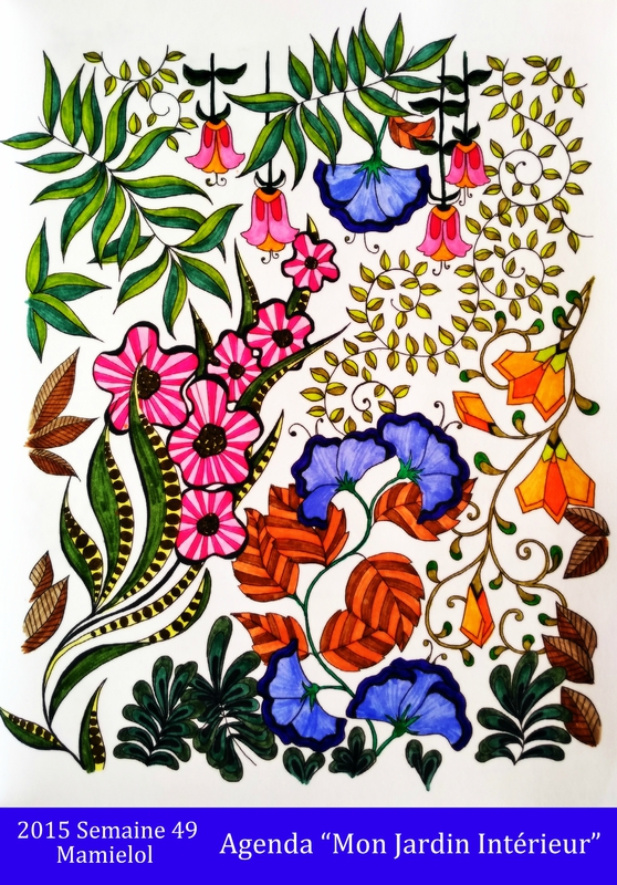Mon Jardin Secret-Semaine 50
