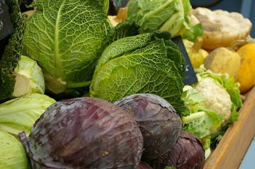 cultiver le poivron
