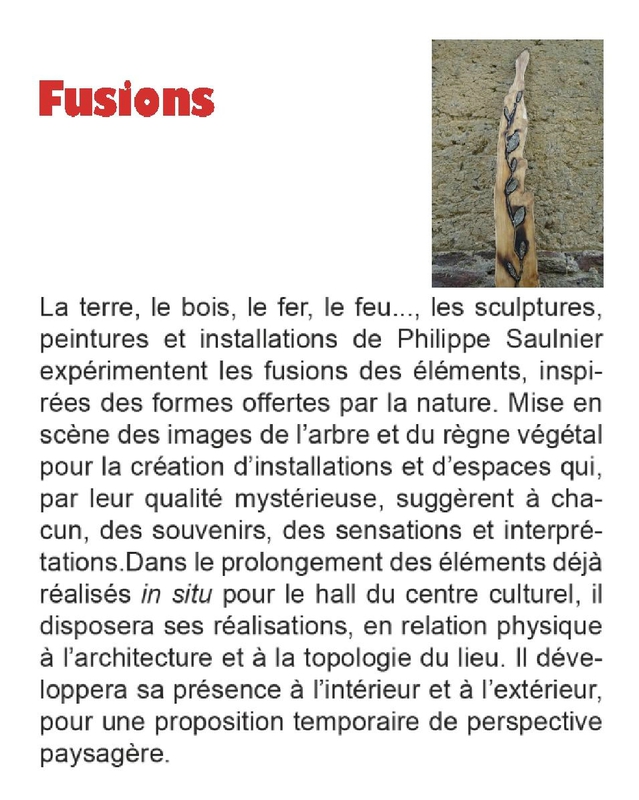 présentation fusions-page-001 (2)