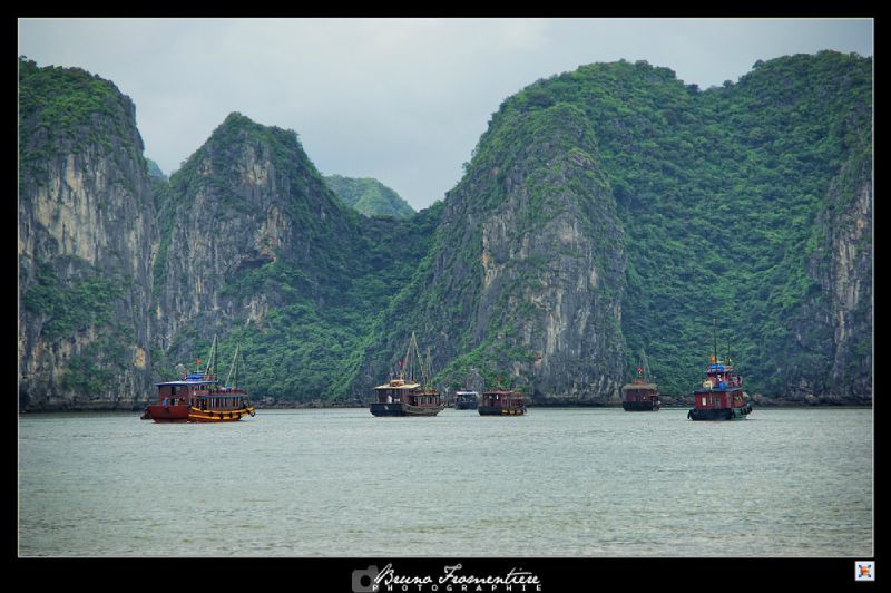 Halong 5