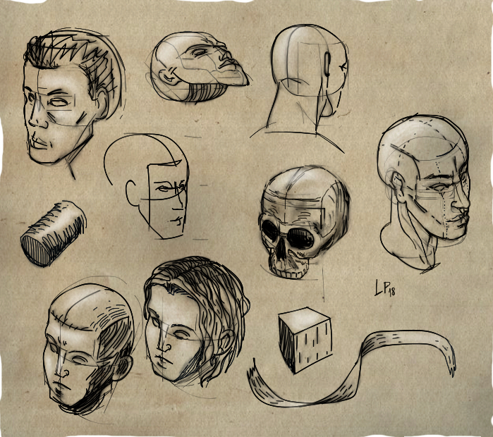 heads