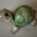 Tortue C Ramiques Cuisson Raku