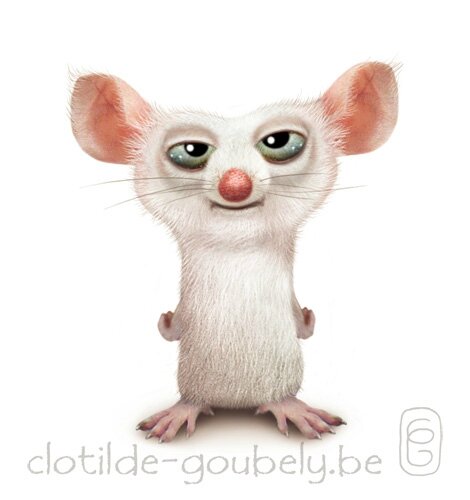 souris-detail