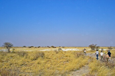 kalahari_1