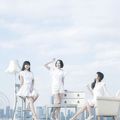 Wink Album Collection 1988-2000 Album Zen K