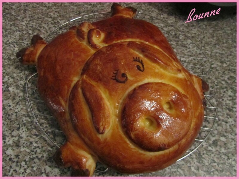 Mon cochon brioché (4)