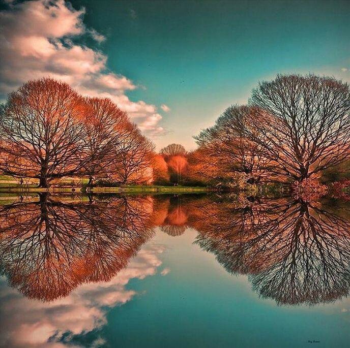 w_amazing-reflections-optical-illusions-38-5836d9346d198-700