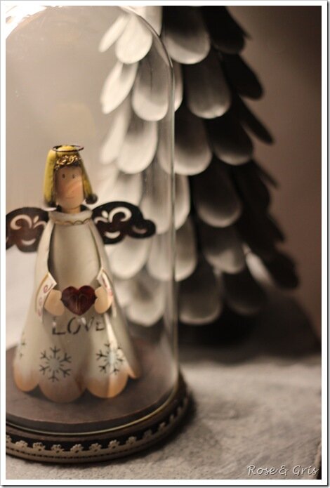 IMG_3470 IMG_3470