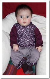 IMG_8080 IMG_8080