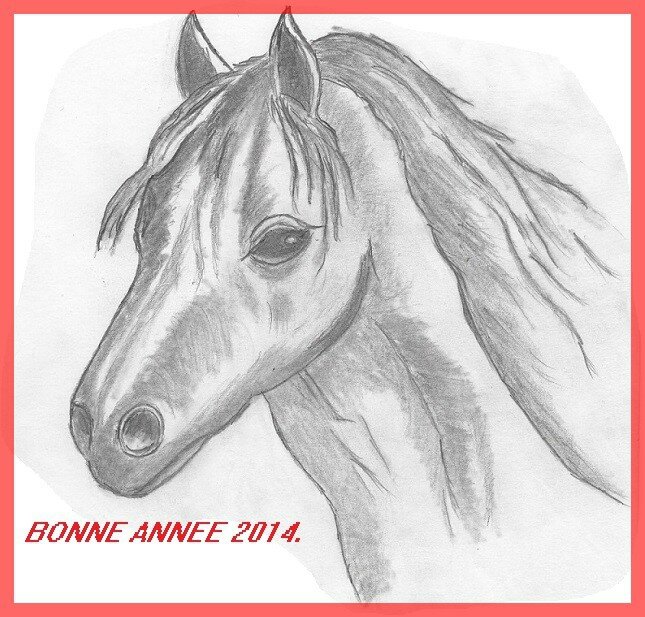cheval 2B 001