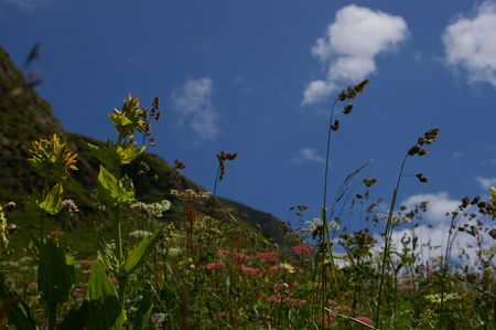IMGP0812